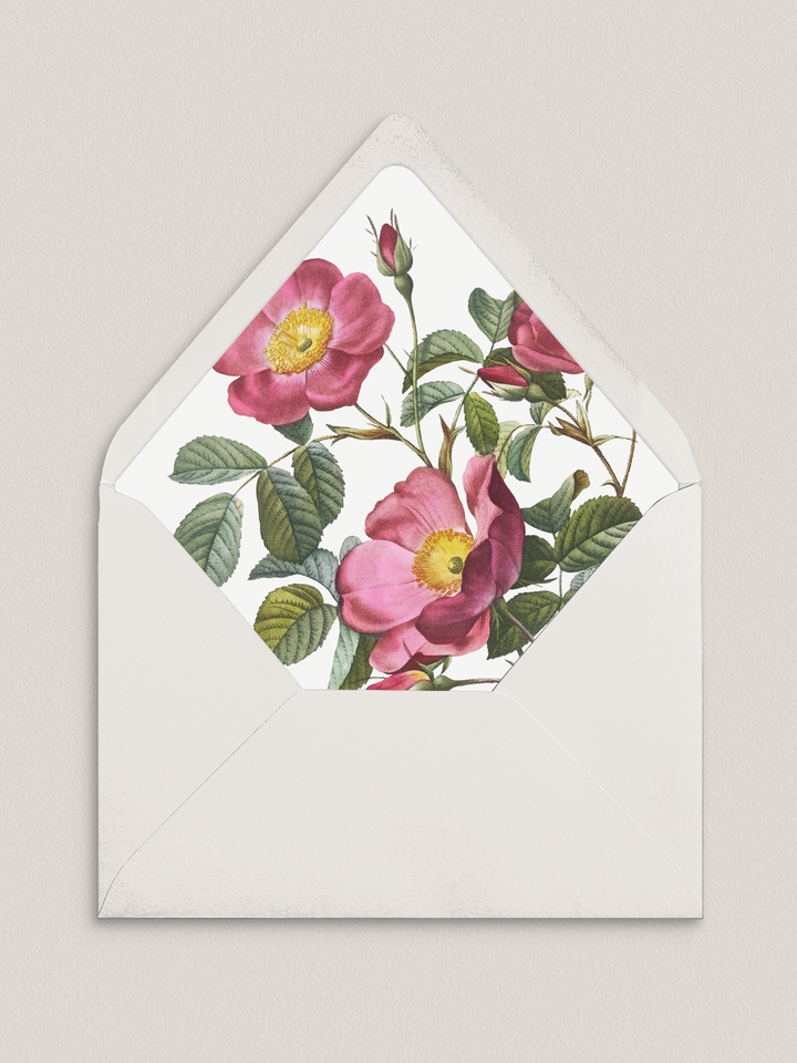 Envelope Liners